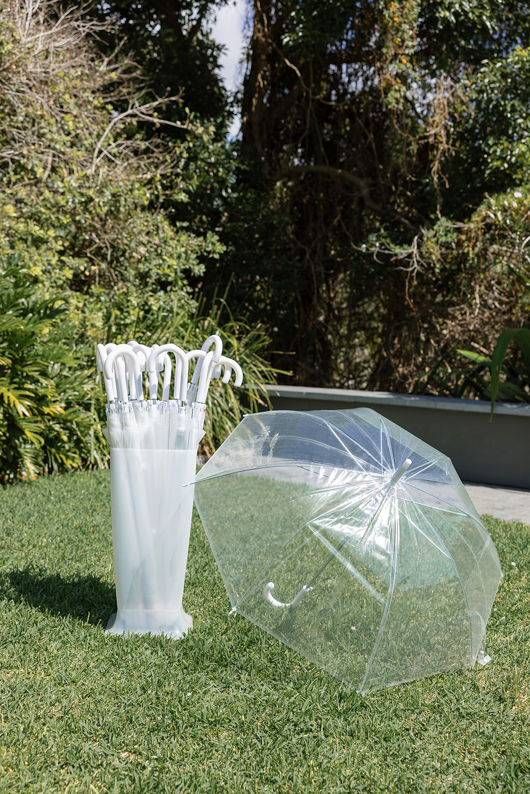 <b>Clear Umbrellas</b>
